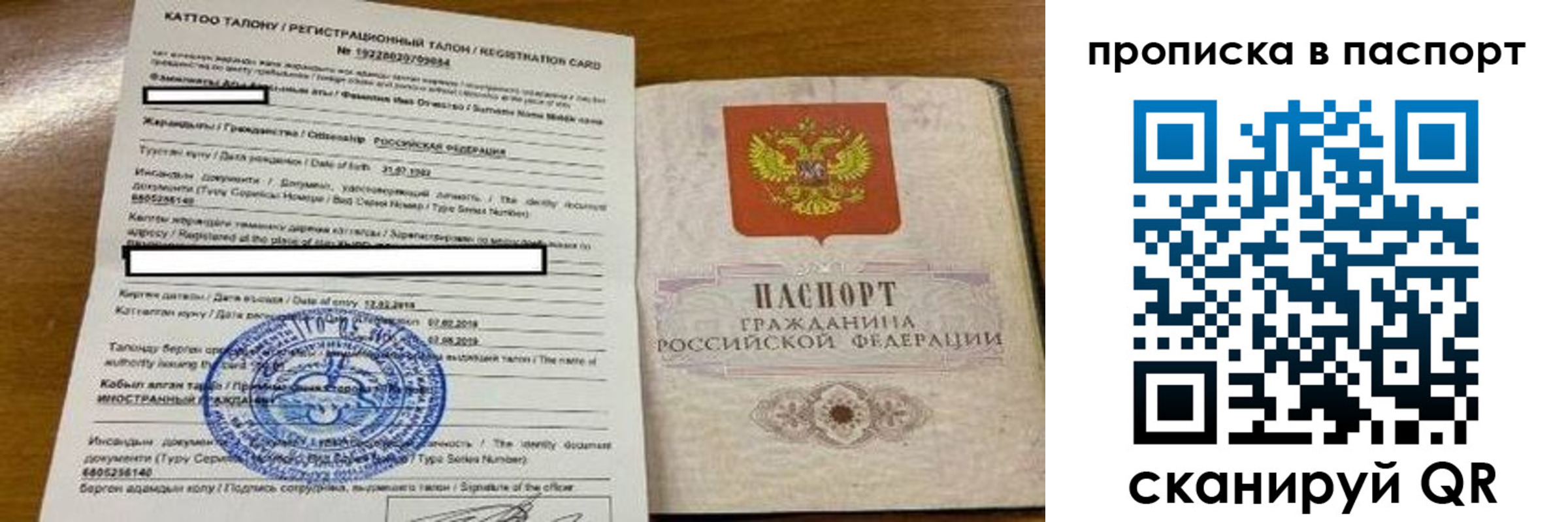 прописка штамп в Лузе
